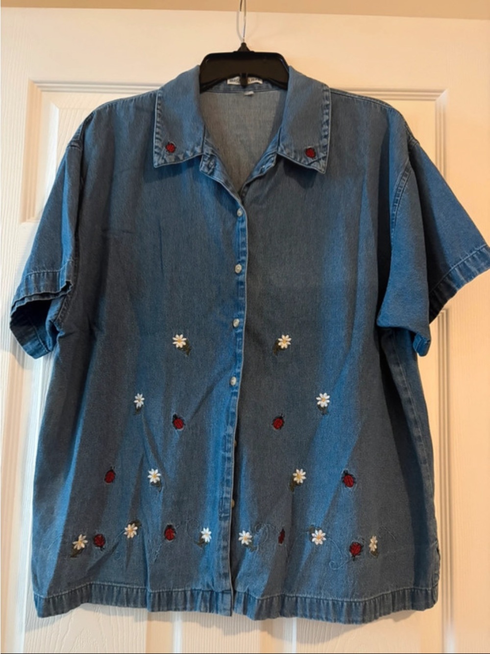 Denim Short-Sleeve Shirt with Embroidered Flowers - Blue